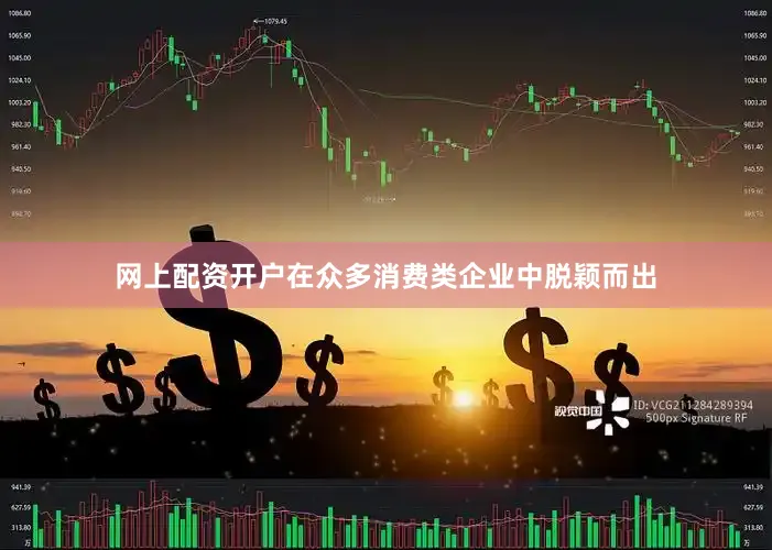 网上配资开户在众多消费类企业中脱颖而出